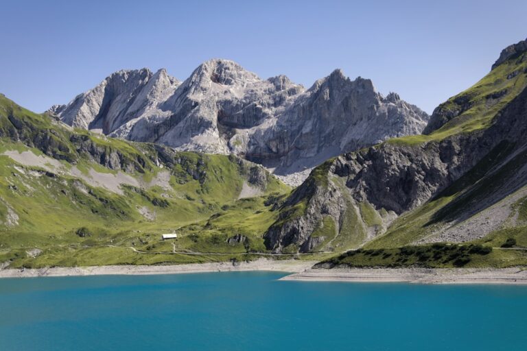 Photo Cum Să-ți Construiești și Să-ți Menții Reputația Bună a Brandului în fața Publicului și a Clienților