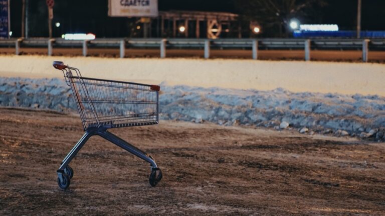 Photo "How to optimize your ads to reach customers who have abandoned their shopping cart"