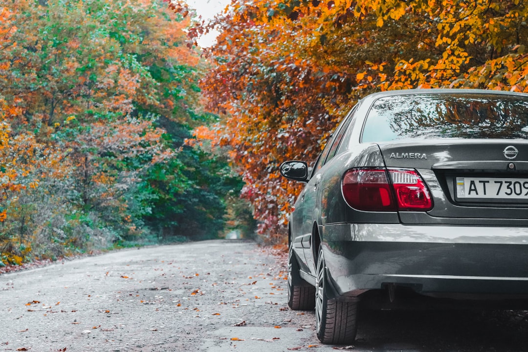 Photo autocunoaștere